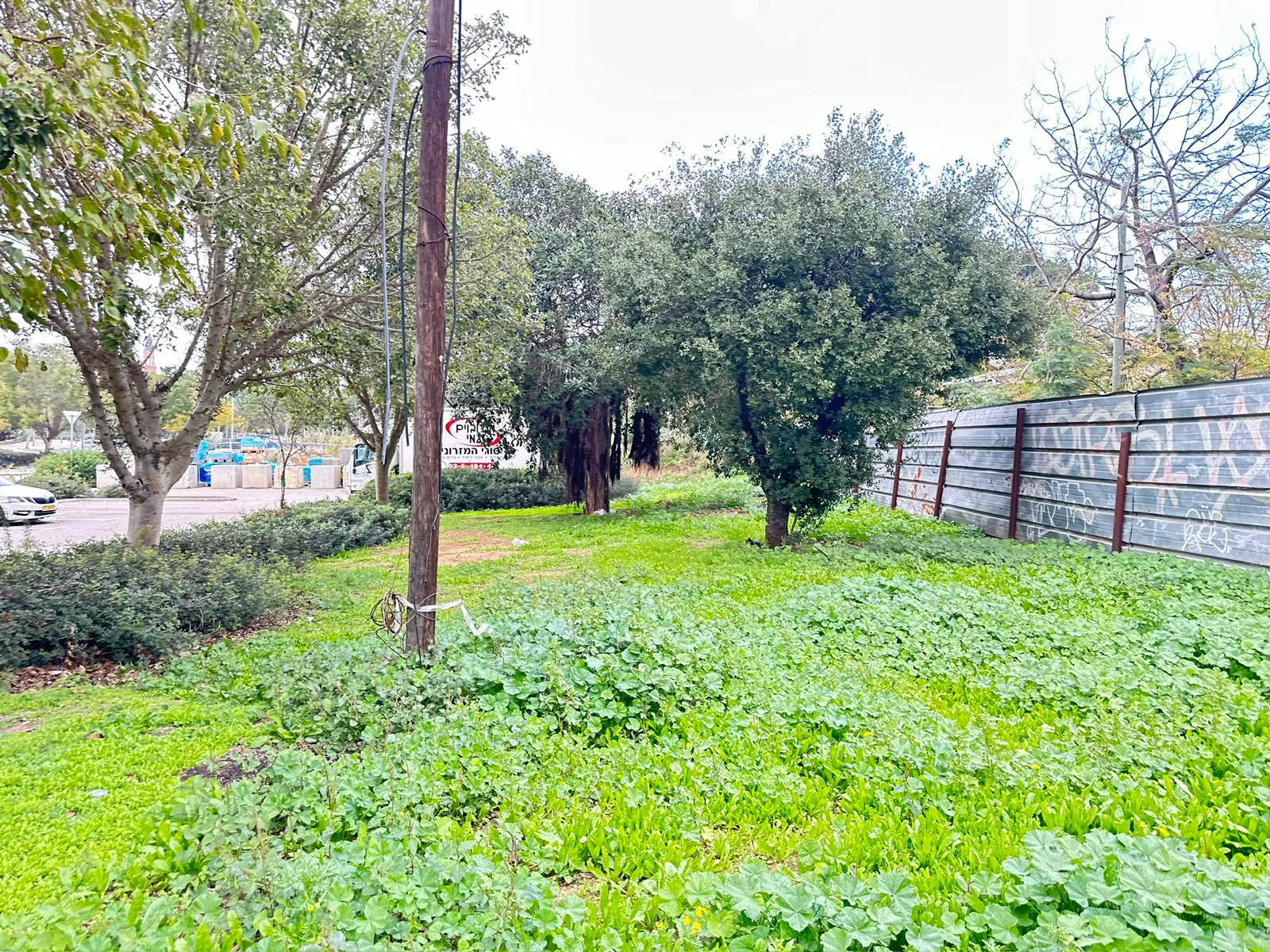 WhatsApp Image 2024-01-05 at 14.01.07.jpeg